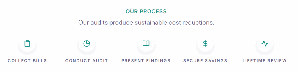 Our process. Our audits produce sustainable cost reductions. Collect Bills. Conduct Audit. Present Findings. Secure Savings. Lifetime review. Tryon ClearView Group.